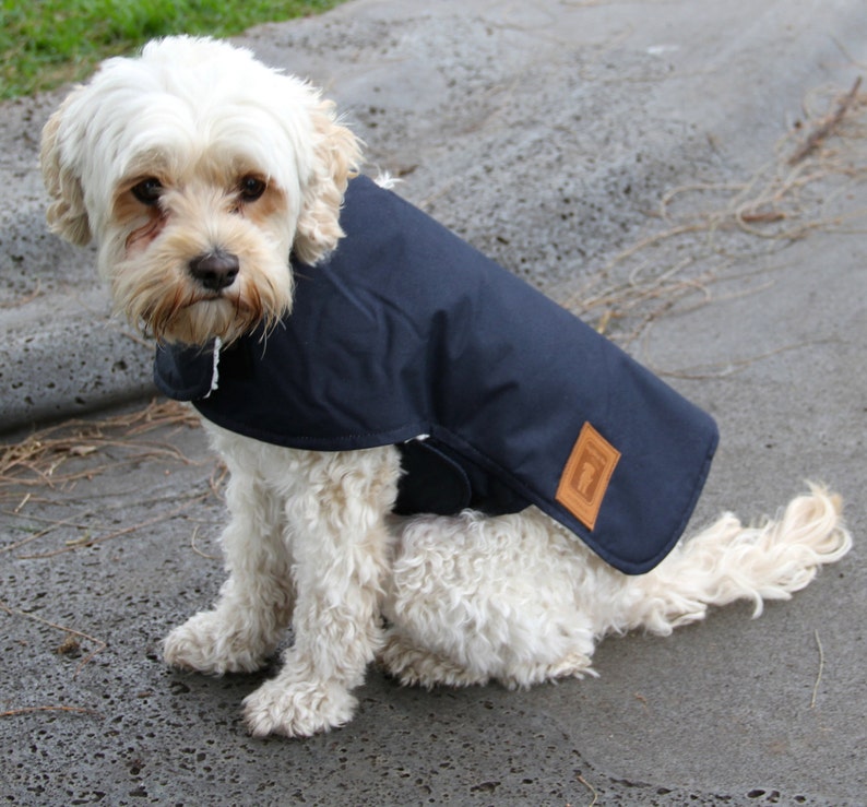 25cm to 80cm dogs Australian Oilskin Dog Coat Jacket Navy with a sherpa