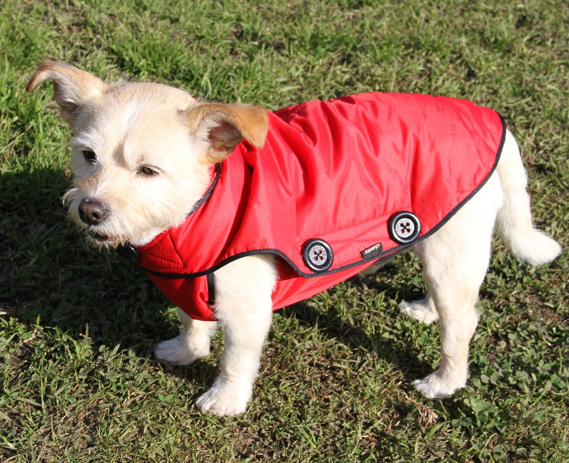 Dog Raincoat with zip hood red with fleece lining Etsy