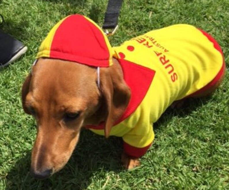 surf lifesaver shirt