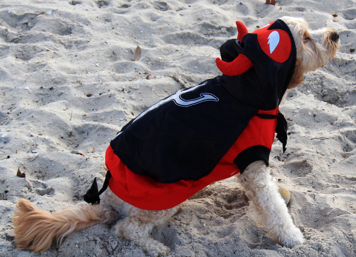 Little Devil Halloween dog costume perfect for small to large Etsy