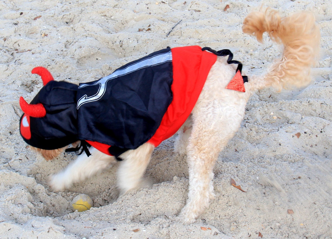 Little Devil Halloween dog costume perfect for small to large Etsy