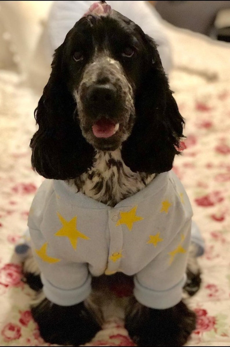 Fleece Dog Pyjamas - 4 Legs With Studs for Xsmall to Xxxlarge Breeds ...