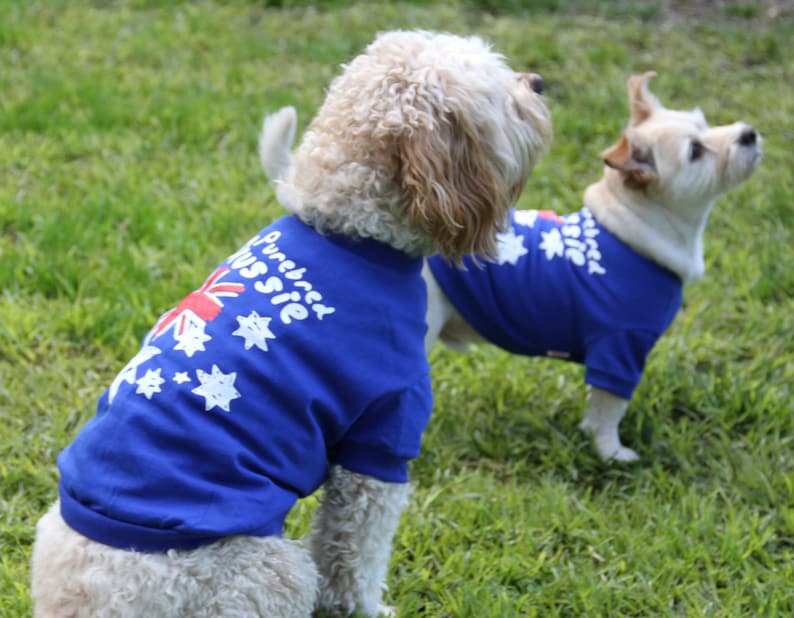 Purebred Aussie Dog Shirt Costume Coat Etsy