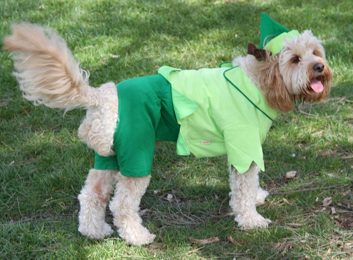 Christmas or St Patricks Day Elf Boy Dog Costume for Small to Very
