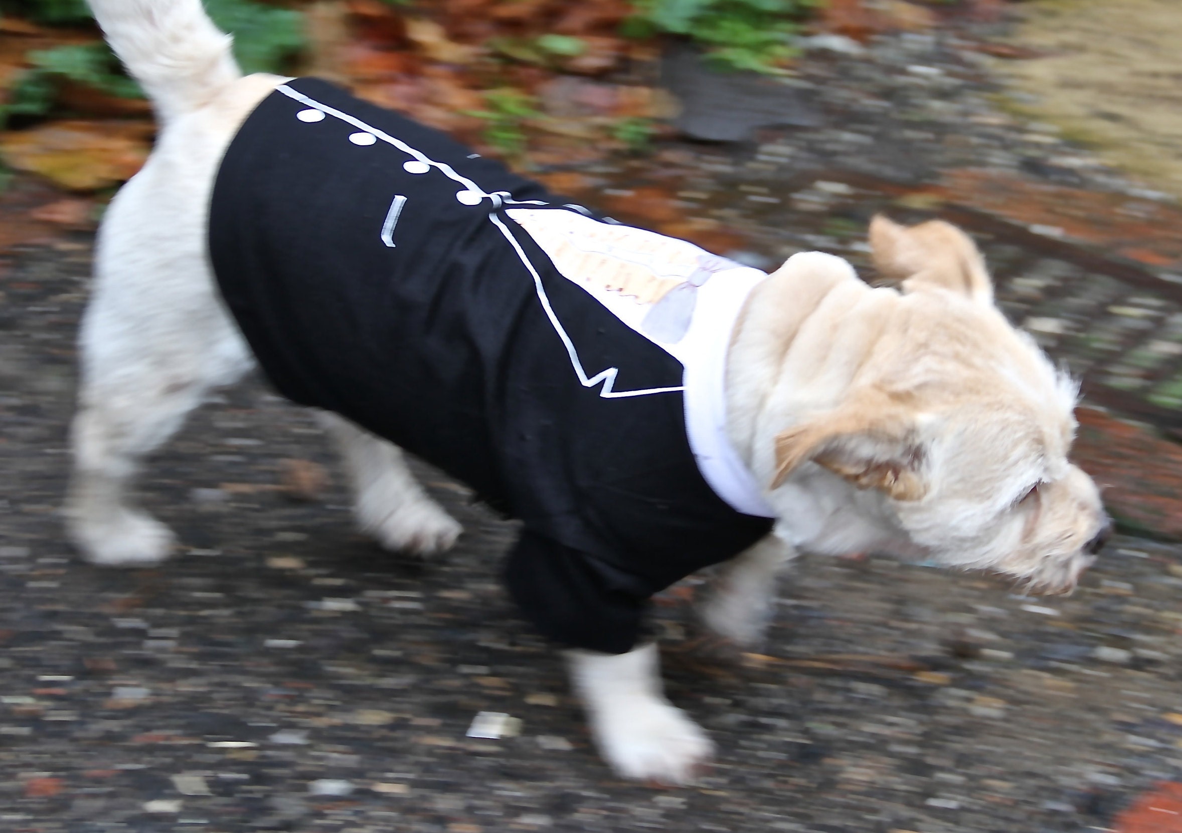 Dog Tuxedo Shirt main image 1