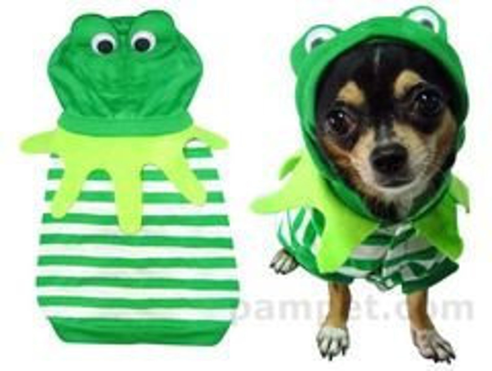 Frog dog costume for xsmall to xxl breeds. Pawfect for Easter Etsy