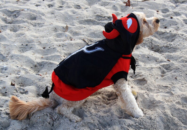 Little Devil Halloween Dog Costume With Cape and Horns. 40cm Length ...