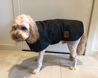 dog padded jacket