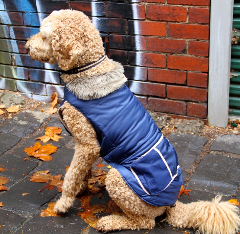 Waterproof Hunting Dog Coat With Fleece Lining and Faux Fur Etsy