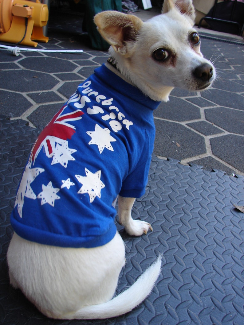 Purebred Aussie Dog Shirt Costume Coat Etsy