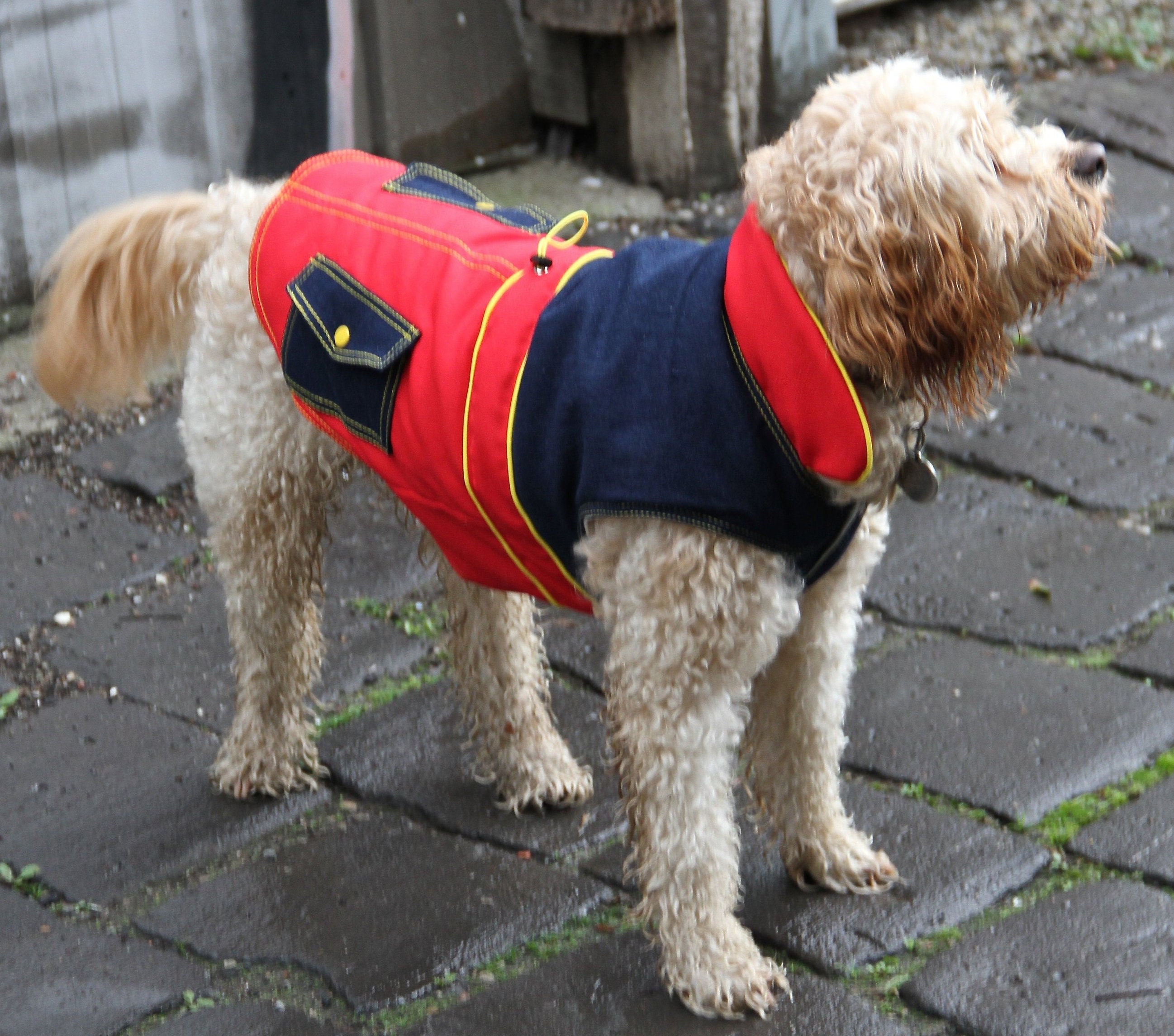 canvas dog coat