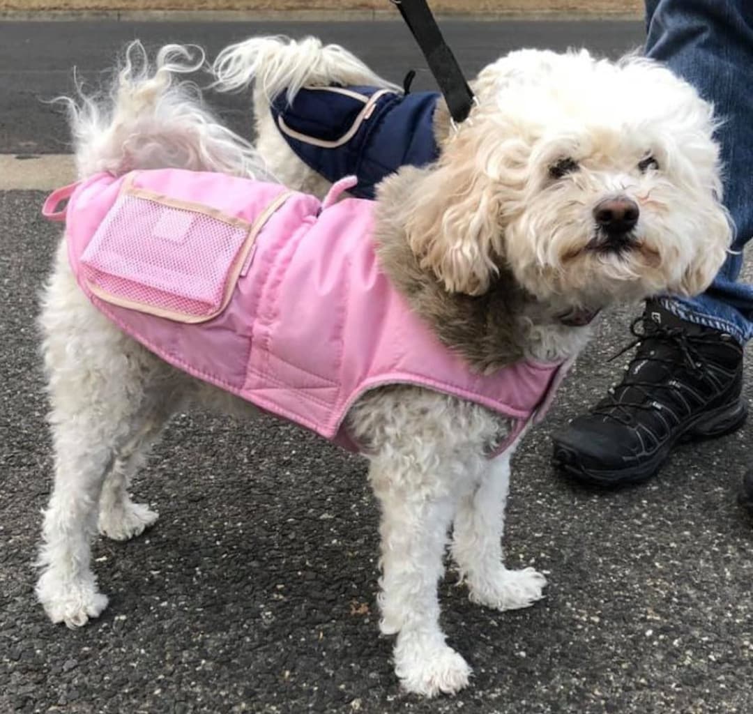 Waterproof Hunting Dog Coat With Faux Fur Trim and Fleece Lining for 20cm to 50cm Breeds Etsy