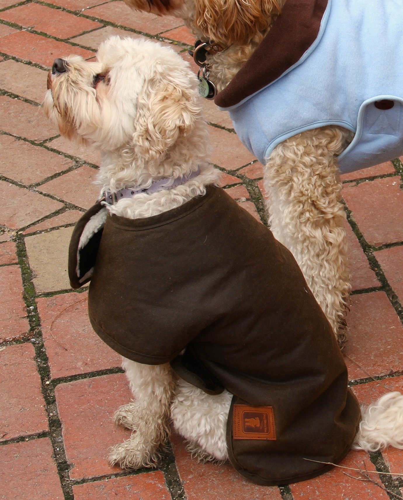 Australian Oilskin Dog Coat Sherpa Lining Size 25cm to 80cm Etsy