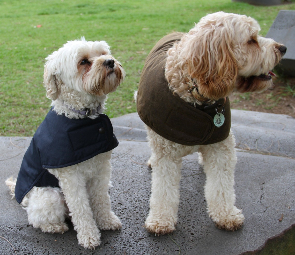 65cm to 80cm Australian Oilskin Dog Coat Jacket Navy With a Etsy Canada
