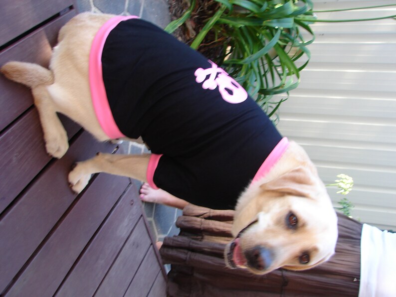 25cm to 50cm back Skull and Crossbones dog shirt top in black and pink great for Halloween
