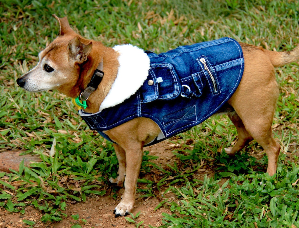 Denim Dog Coat With Fleece Lining and Pockets. for 20cm Tiny Etsy