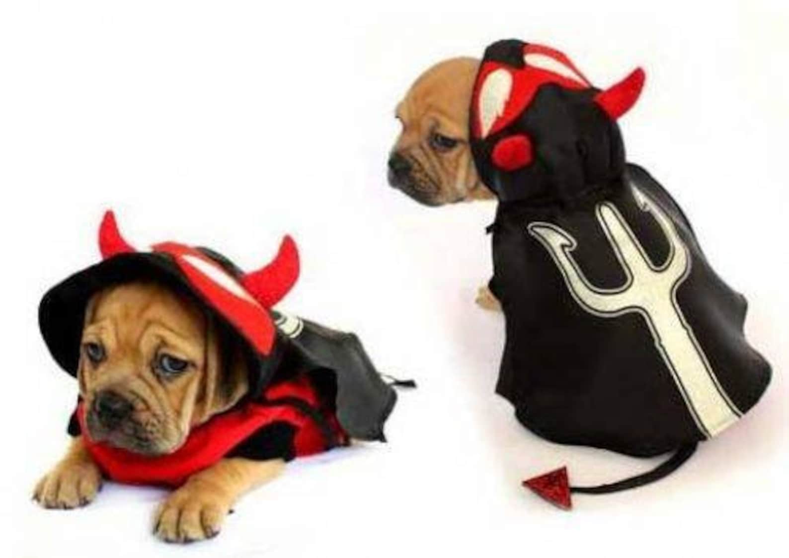 Little Devil Halloween dog costume perfect for small to large Etsy