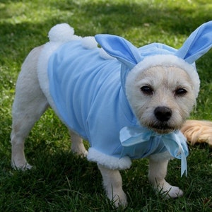 Easter clothes for dogs hot sale