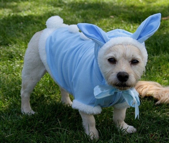 Easter Bunny Dog Costume Dog Easter Bunny Dog Costume Dog