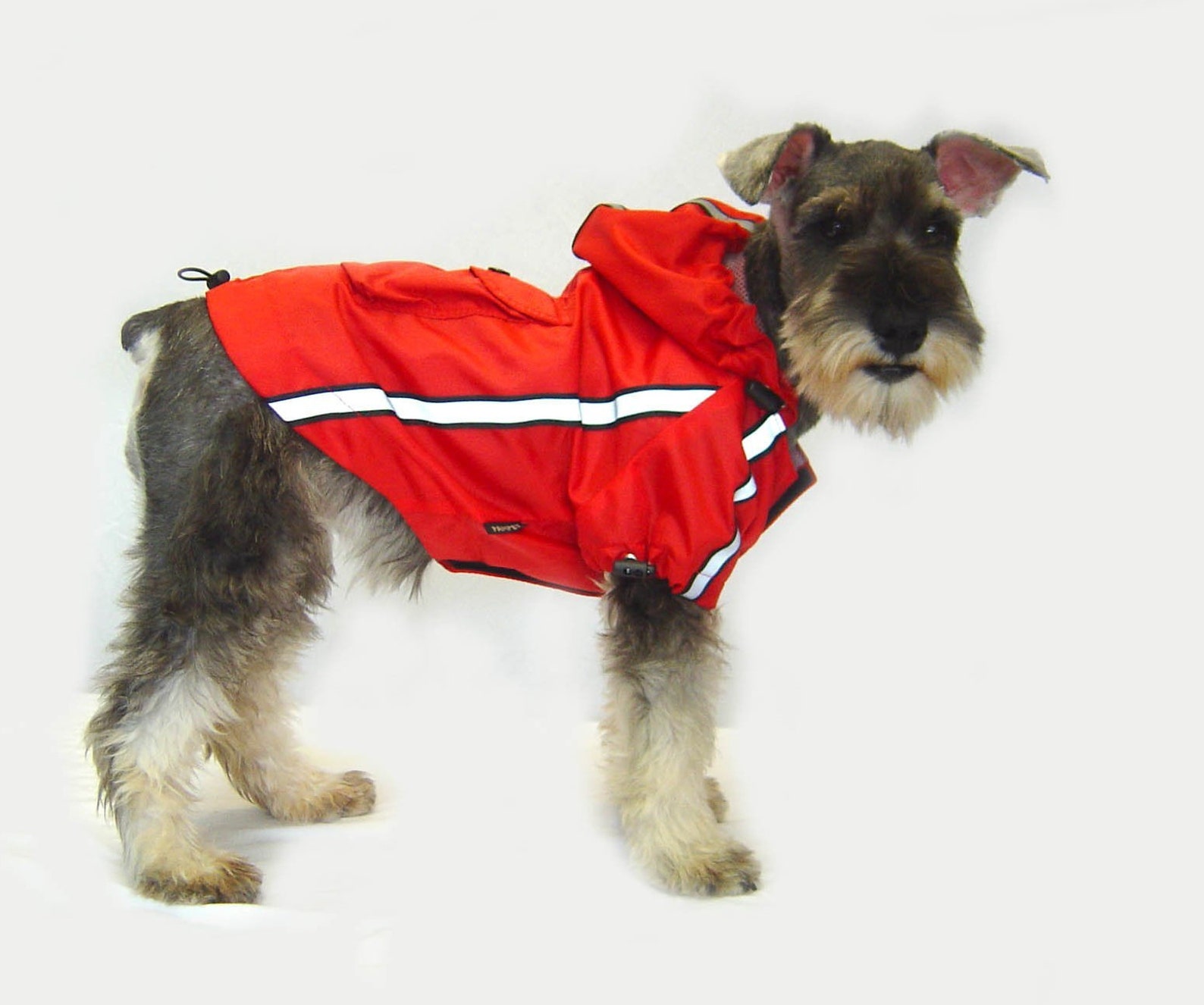 6+ Genius Raincoats For Dogs To Stay Dry In Style