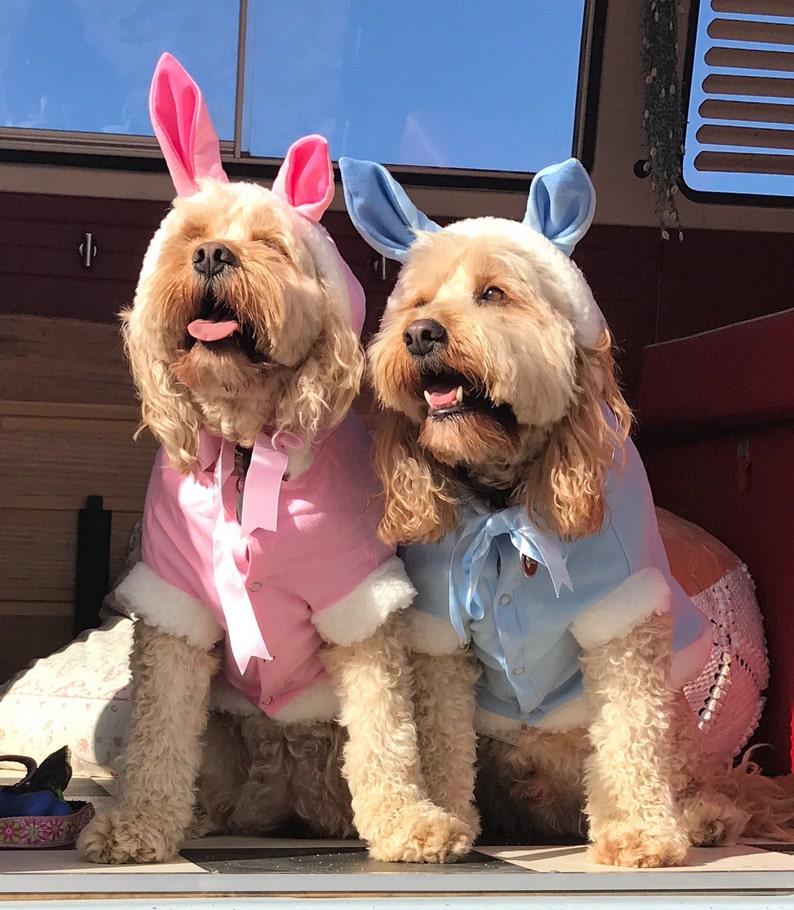 Easter Bunny Dog Costume Pink for X Small 20cm Dogs Puppies, Hood With
