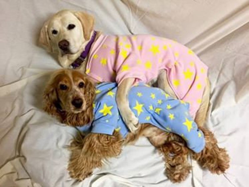 Fleece Pink Dog Pyjamas 4 Legs With Studs for Fitting, Pink With Yellow ...