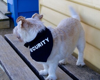 Security dog bandana on collar - small dogs, quality cotton fabric with stainless steel buckle