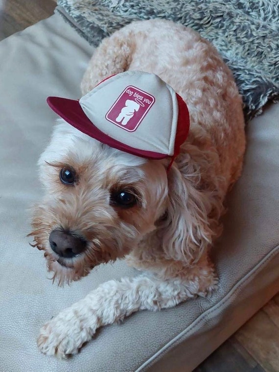 Dog Hat Cap Dog Bless You brand cotton with mesh sides. Sizes small medium large and xlarge with elastic toggle adjustment under chin