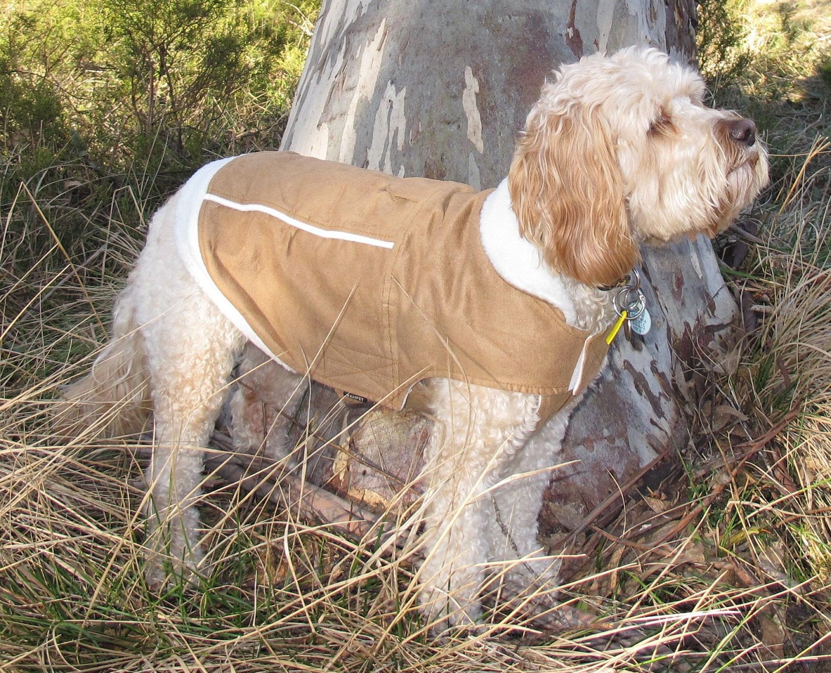 Sheepskin dog deals jacket