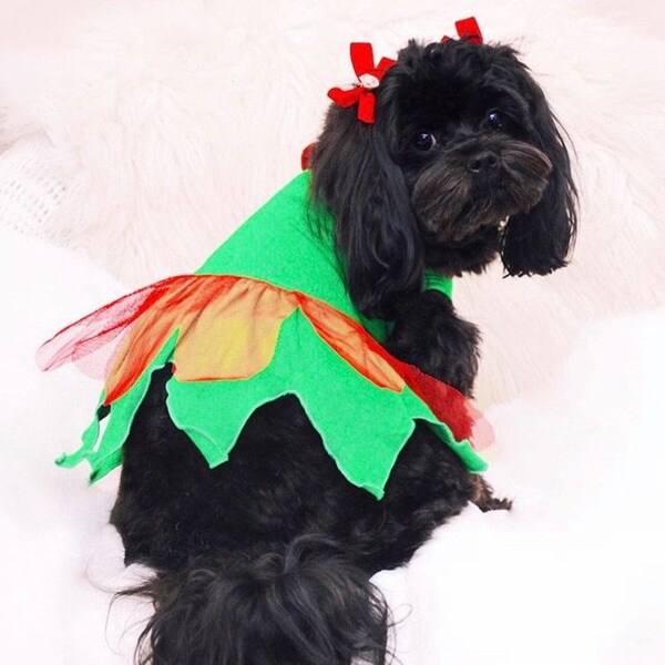 Large Dog Elf Costume Etsy