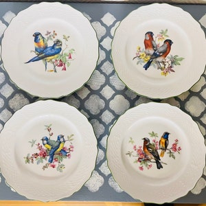 1 of 4 vintage collector&#39;s plates birds AK Kaiser Porzellan Series 28 wall plates porcelain plates wall decoration decorative plates coasters