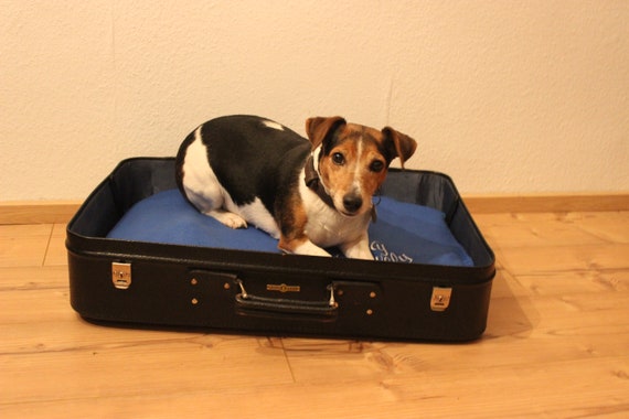 Suitcase for sales my dog