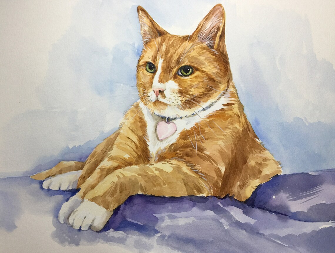 Cat custom Portrait Custom pet Portrait Sphynx Cat Portrait Etsy