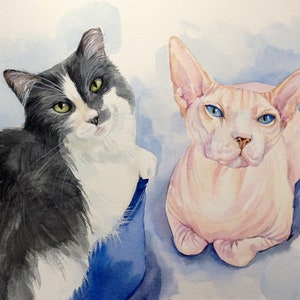 HAND PAINTED Custom Pet Portrait, dog portrait, hand drawing pet, gift for a cat lover,  great idea for a gift, portrait from the photo