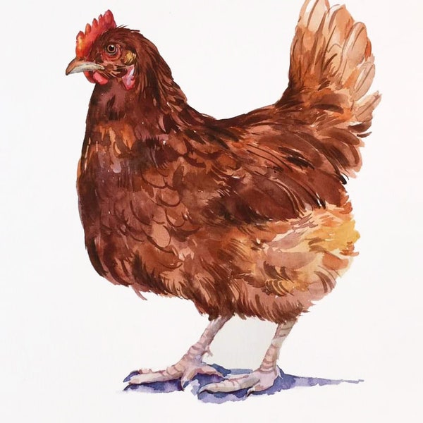 Commission portrait de poulet, peinture de poule personnalisée, dessin de coq, portrait de poulet, portrait de poule personnalisé, portrait d'oiseau de ferme, art de coq