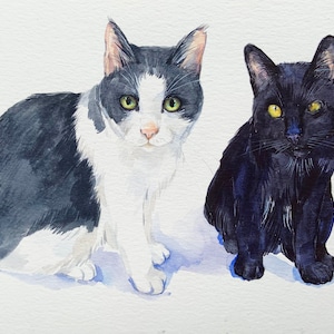 Double cat portrait, pet from your photo, cat lover gift, two pets together, custom cat portrait, gift for her, gift for Mom, cat pet gift