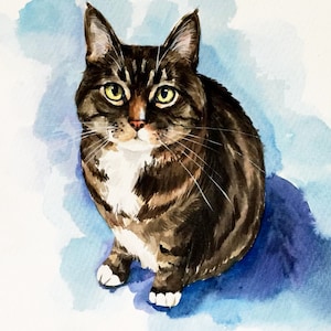 Aangepast huisdierportret, sphynxkat, kattenportret, kattenliefhebber cadeau, handgeschilderd huisdierportret, aquarel huisdierportret, geweldig idee voor een cadeau