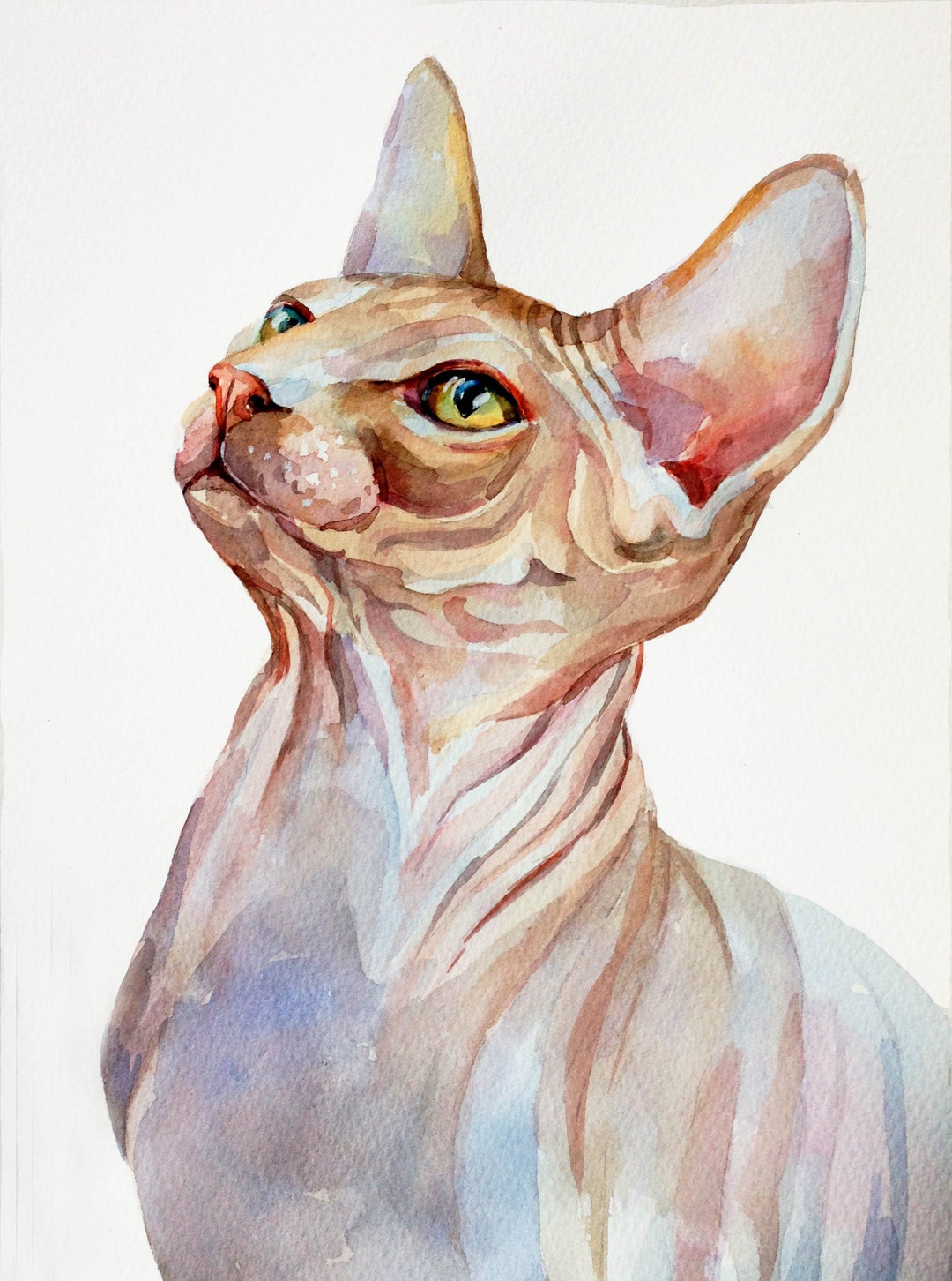 Sphynx Cat Portrait From a Photo, Custom Watercolor Painting, Memorial ...