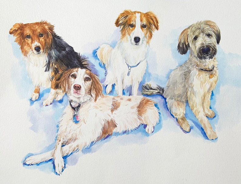 May include: Watercolor painting of four dogs. The dogs are a brown and white border collie, a white and brown border collie, a brown and white Brittany spaniel, and a light brown and gray terrier mix. The dogs are all looking at the camera.
