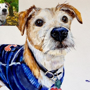 Handgeschilderd AANGEPASTE huisdierenPORTRET, aangepast hondenportret, hondenaquarel, hondenkunst, hondentekening, gepersonaliseerd huisdierenportret, geweldig idee voor een cadeau