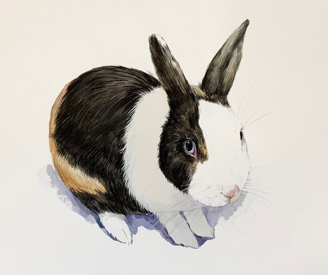 BUNNY Custom Order Rabbit Portrait Custom Bunny - Etsy