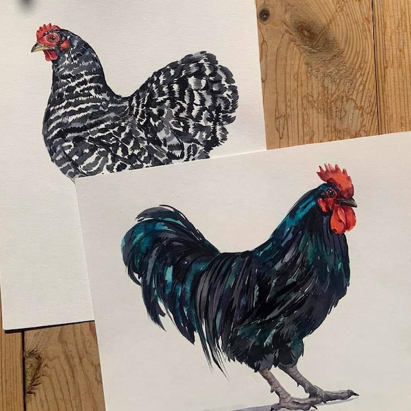 Portrait de poulet personnalisé, portrait de poule personnalisé, peinture de poulet, peinture de coq, portrait de poule, dessin de poulet, amateur de poulet, art de poulet