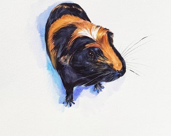 Custom Guinea Pig Portrait, memorial pet art, pet portrait from photo, guinea pig lover gift, Valentine's gift