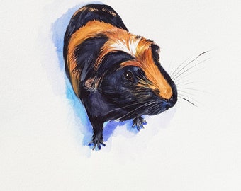 COMMISSION GUINEA PIG portrait from photo, Mother's day gift, gift for her, gift for him, hand painted  portrait, gift for guinea pig lover