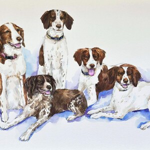 May include: Watercolor painting of four brown and white dogs. The dogs are all looking at the camera. The painting is done in a realistic style.