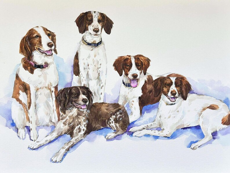 May include: Watercolor painting of four brown and white dogs. The dogs are all looking at the camera. The painting is done in a realistic style.