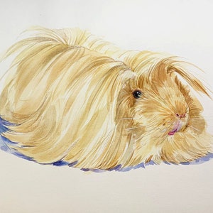 CUSTOM GUINEA PIG portrait,commission guinea pig, custom pet portrait,custom guinea pig portrait, guinea pig lover,custom pet portrait