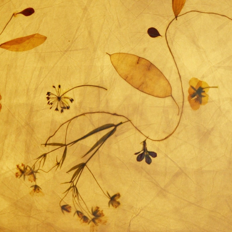 May include: A pressed flower arrangement on a yellow background. The arrangement includes a variety of flowers and leaves, including a purple flower, a yellow flower, and a brown leaf.