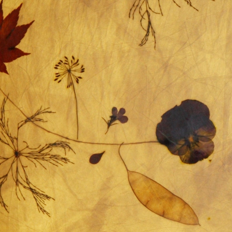 May include: A pressed flower art piece featuring a variety of dried flowers and leaves, including a purple pansy, a red maple leaf, and a delicate white flower with a brown center. The flowers are arranged on a light brown background.