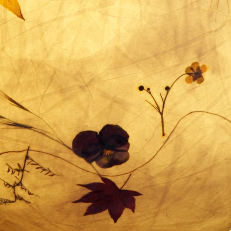 May include: A close-up of a pressed flower artwork with a brown background. The piece features a purple pansy, a red maple leaf, and a small yellow flower with a stem.